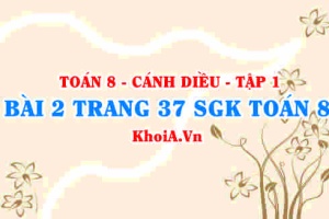 Bài 2 trang 37 SGK Toán 8 tập 1 Cánh Diều